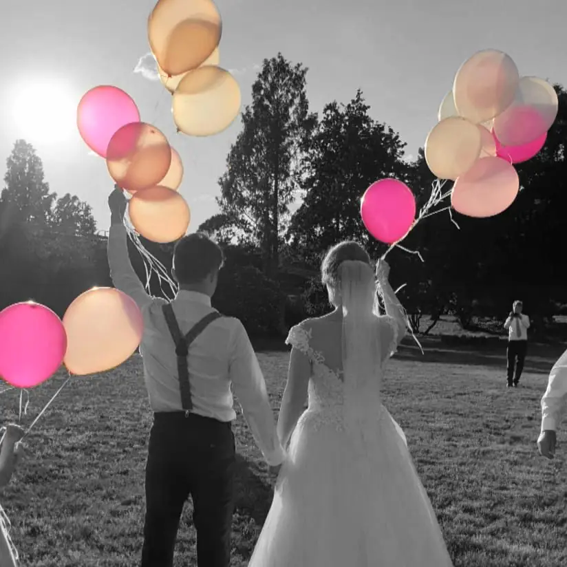 Brautpaar, DJ, Hochzeit, Bad Düben