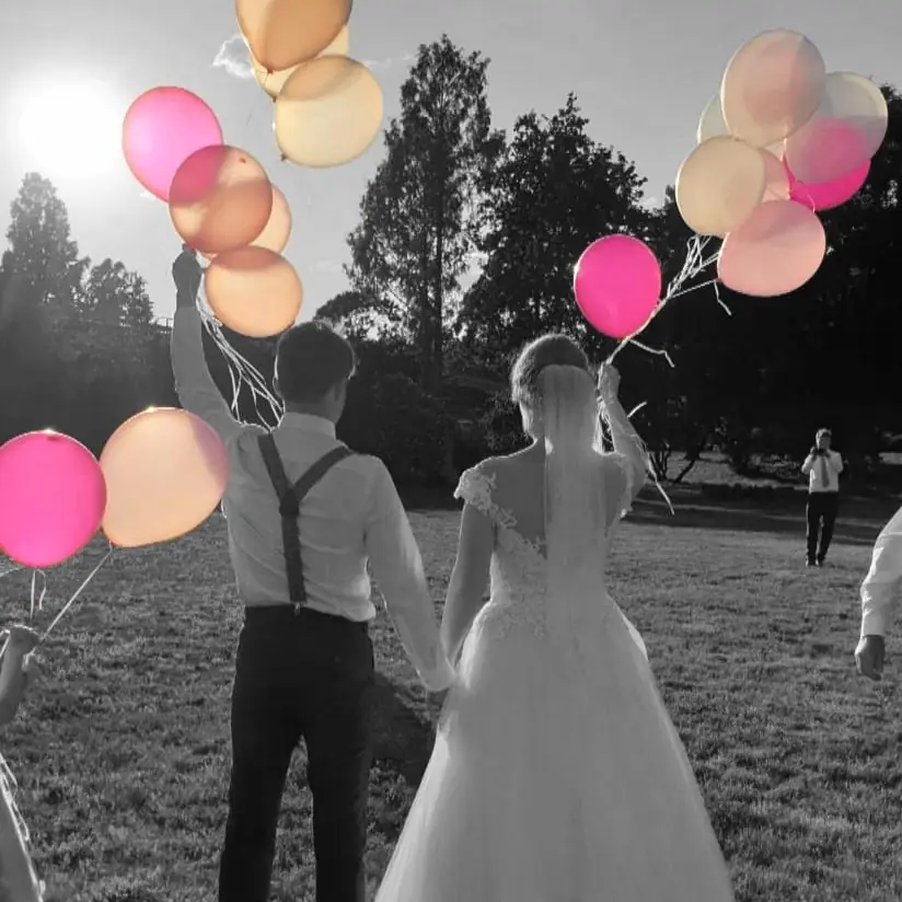 Brautpaar, DJ, Hochzeit, Wurzen