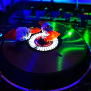 Schokobonsliegen auf einem DJ-Pult, umgeben von bunten Lichtern. Photo by DJ Mirko Anders